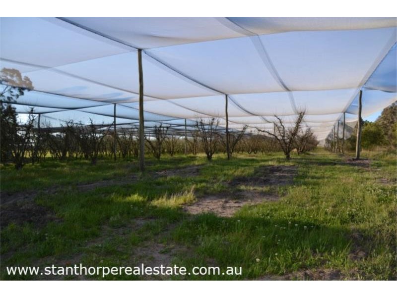 Lot 1 Amiens Road, Pozieres via, Stanthorpe QLD 4380