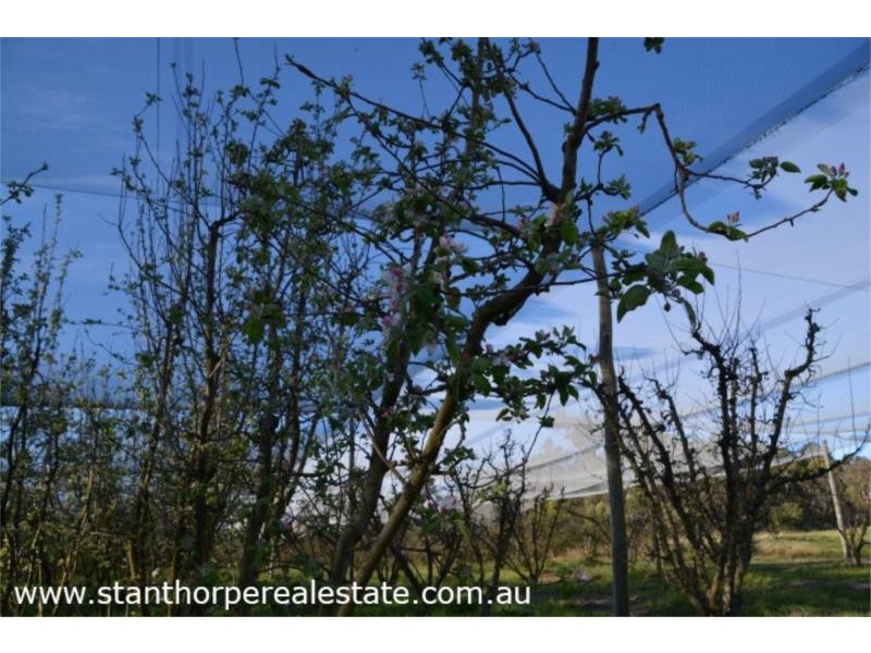 Lot 1 Amiens Road, Pozieres via, Stanthorpe QLD 4380