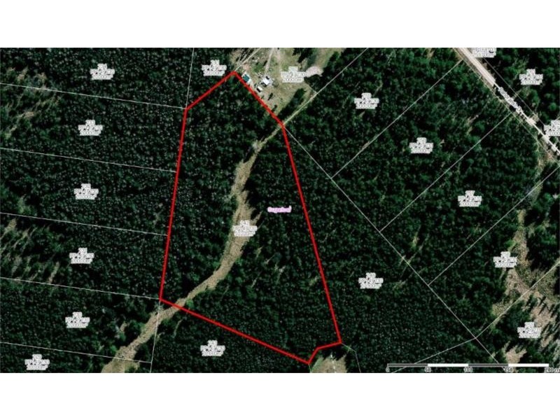 Lot 242 Radiata Cres, Sugarloaf via, Stanthorpe QLD 4380