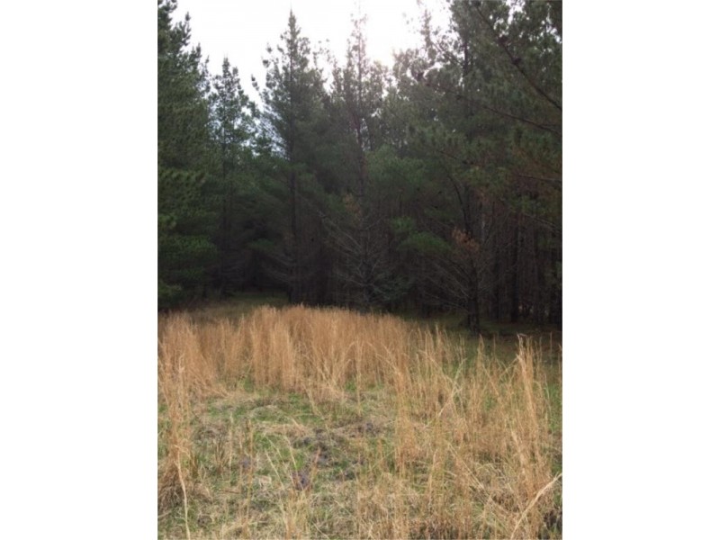 Lot 242 Radiata Cres, Sugarloaf via, Stanthorpe QLD 4380