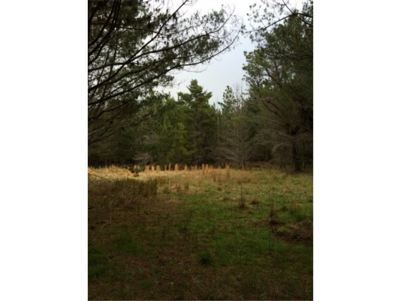 Lot 242 Radiata Cres, Sugarloaf via, Stanthorpe QLD 4380