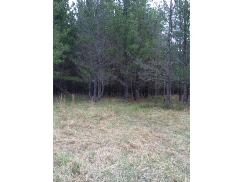 Lot 242 Radiata Cres, Sugarloaf via, Stanthorpe QLD 4380