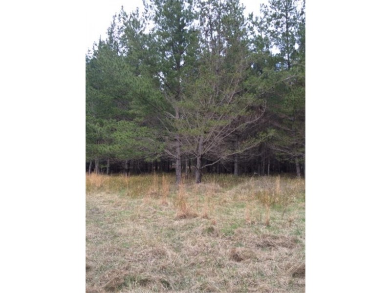 Lot 242 Radiata Cres, Sugarloaf via, Stanthorpe QLD 4380