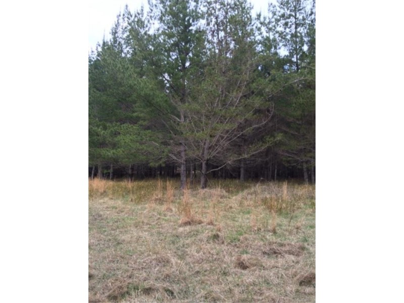 Lot 242 Radiata Cres, Sugarloaf via, Stanthorpe QLD 4380