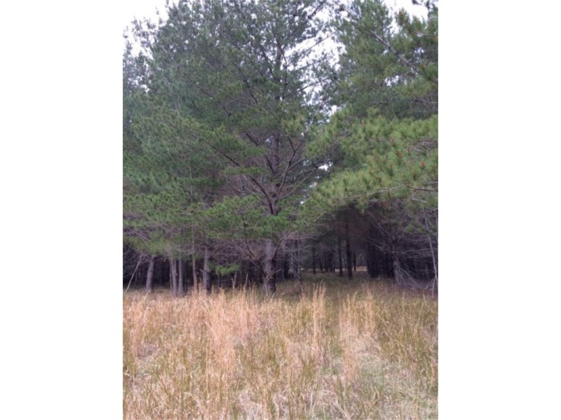 Lot 242 Radiata Cres, Sugarloaf via, Stanthorpe QLD 4380