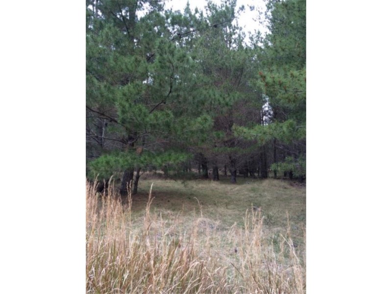 Lot 242 Radiata Cres, Sugarloaf via, Stanthorpe QLD 4380