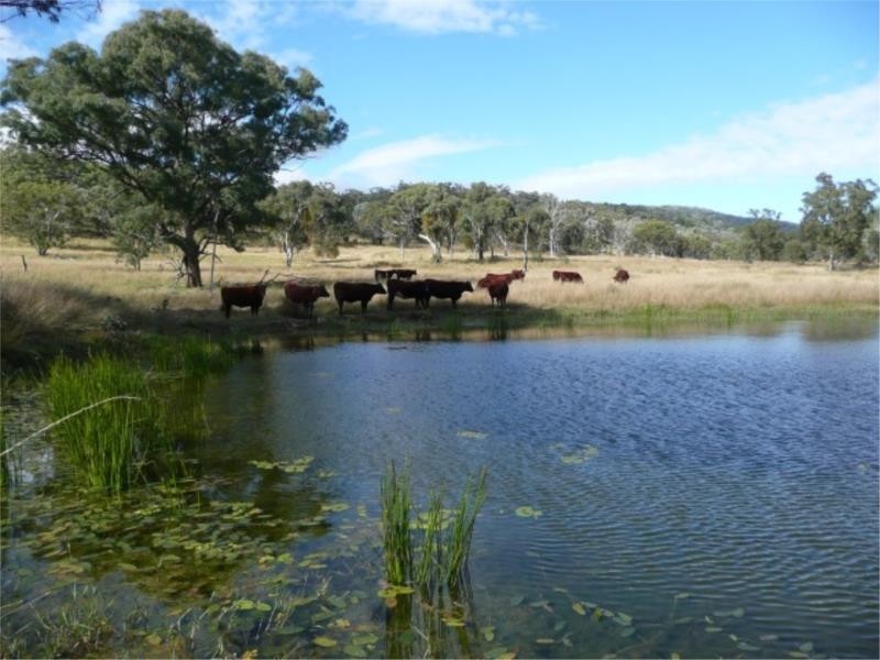 Lot 14 Saxby Road, Ballandean via, Stanthorpe QLD 4380