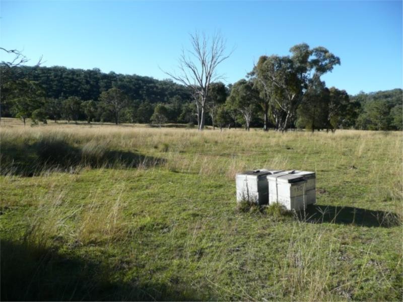 Lot 14 Saxby Road, Ballandean via, Stanthorpe QLD 4380