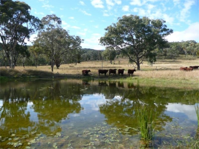 Lot 14 Saxby Road, Ballandean via, Stanthorpe QLD 4380