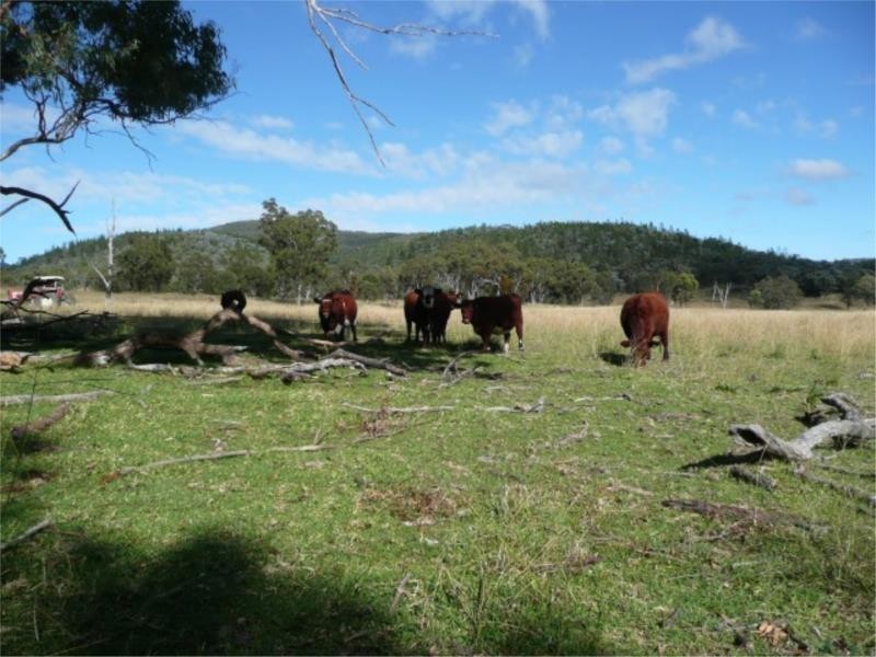 Lot 14 Saxby Road, Ballandean via, Stanthorpe QLD 4380