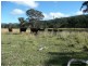 Lot 14 Saxby Road, Ballandean via, Stanthorpe QLD 4380