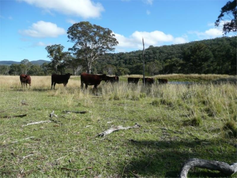 Lot 14 Saxby Road, Ballandean via, Stanthorpe QLD 4380