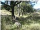 Lot 14 Saxby Road, Ballandean via, Stanthorpe QLD 4380