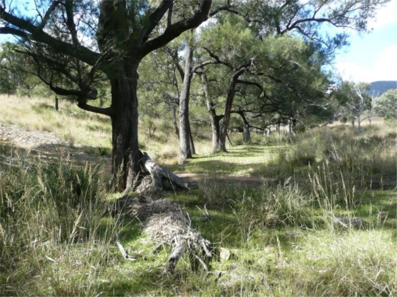 Lot 14 Saxby Road, Ballandean via, Stanthorpe QLD 4380