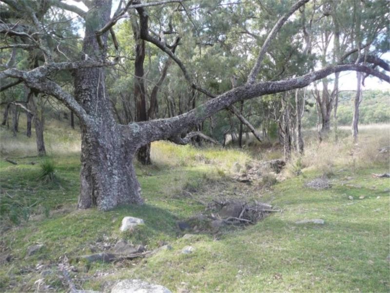 Lot 14 Saxby Road, Ballandean via, Stanthorpe QLD 4380