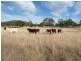 Lot 11 Saxby Road, Ballandean via, Stanthorpe QLD 4380