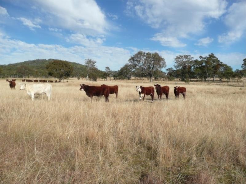 Lot 11 Saxby Road, Ballandean via, Stanthorpe QLD 4380