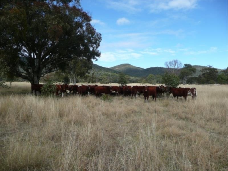 Lot 11 Saxby Road, Ballandean via, Stanthorpe QLD 4380