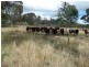 Lot 11 Saxby Road, Ballandean via, Stanthorpe QLD 4380
