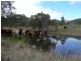 Lot 11 Saxby Road, Ballandean via, Stanthorpe QLD 4380