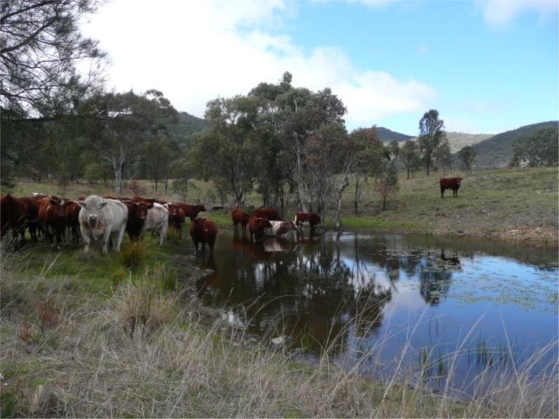 Lot 11 Saxby Road, Ballandean via, Stanthorpe QLD 4380