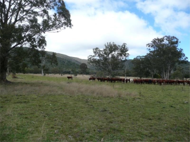 Lot 11 Saxby Road, Ballandean via, Stanthorpe QLD 4380