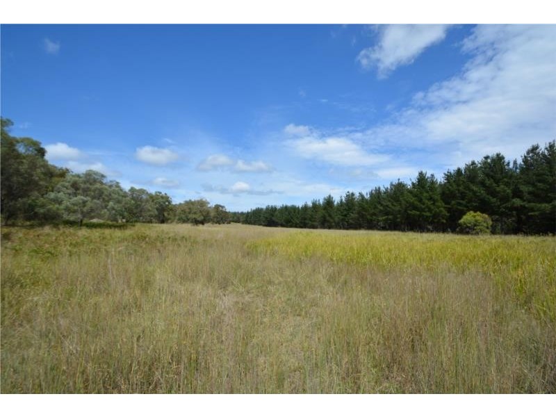 649 Donnellys Castle Road, Pozieres QLD 4352