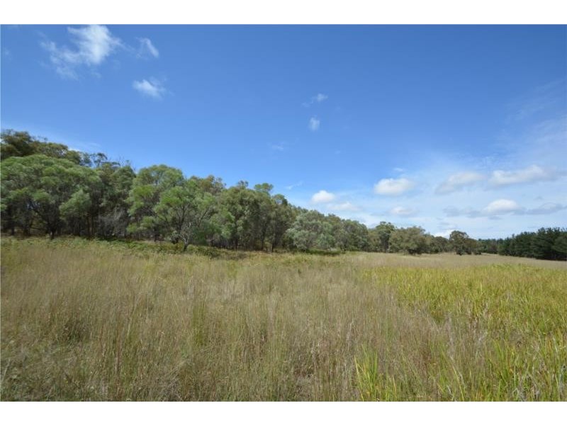649 Donnellys Castle Road, Pozieres QLD 4352
