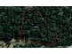 Lot 151 Blackbutt Road, Sugarloaf via, Stanthorpe QLD 4380