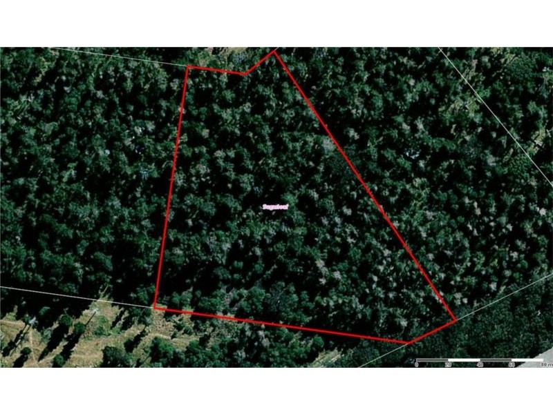 Lot 151 Blackbutt Road, Sugarloaf via, Stanthorpe QLD 4380