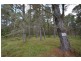 Lot 151 Blackbutt Road, Sugarloaf via, Stanthorpe QLD 4380