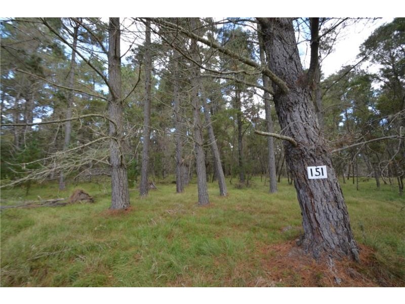 Lot 151 Blackbutt Road, Sugarloaf via, Stanthorpe QLD 4380