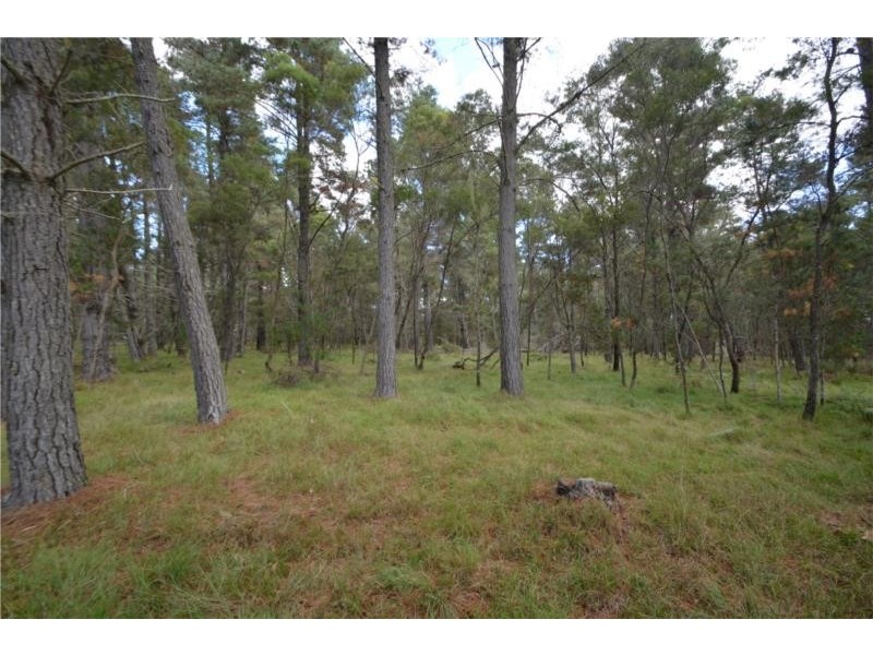 Lot 151 Blackbutt Road, Sugarloaf via, Stanthorpe QLD 4380