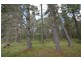 Lot 151 Blackbutt Road, Sugarloaf via, Stanthorpe QLD 4380