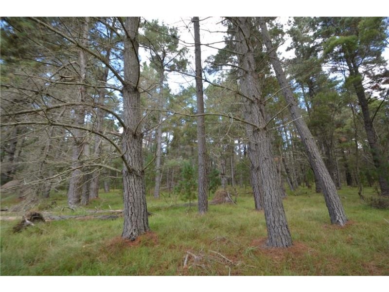 Lot 151 Blackbutt Road, Sugarloaf via, Stanthorpe QLD 4380