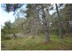 Lot 151 Blackbutt Road, Sugarloaf via, Stanthorpe QLD 4380