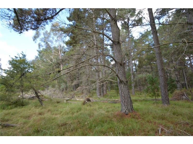 Lot 151 Blackbutt Road, Sugarloaf via, Stanthorpe QLD 4380