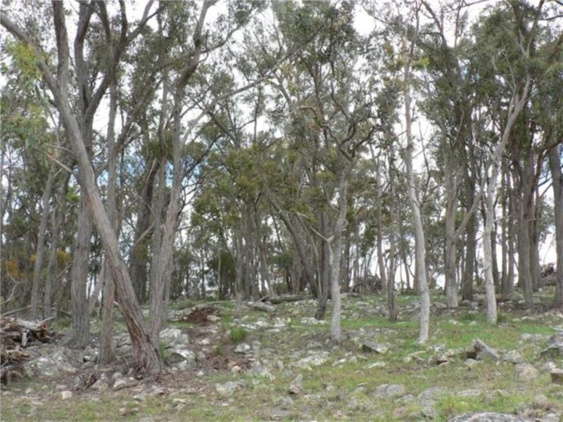 22408 New England Highway, Dalveen QLD 4374