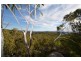 Lot 41 MacLean Lane, Fletcher QLD 4381