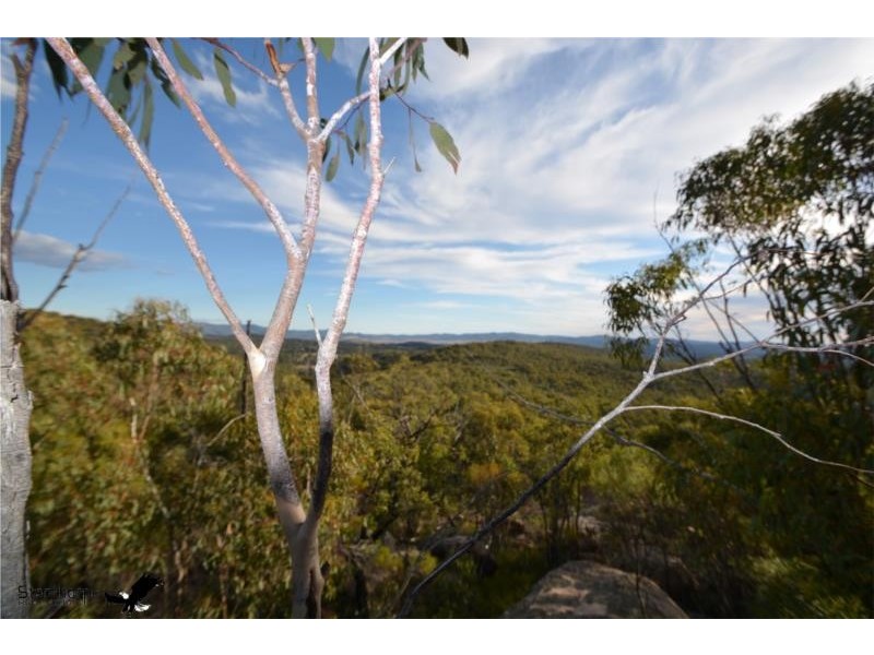 Lot 41 MacLean Lane, Fletcher QLD 4381