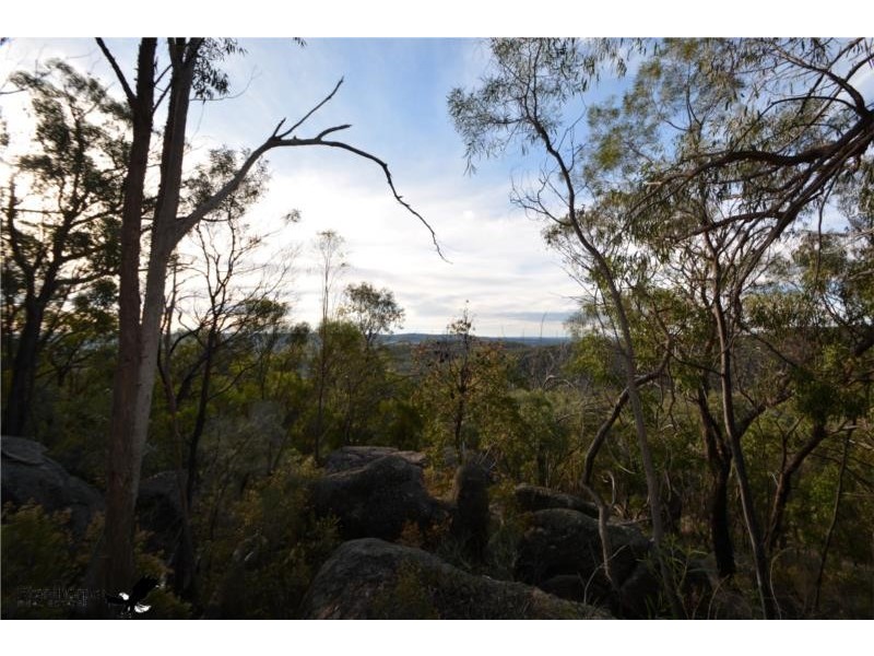 Lot 41 MacLean Lane, Fletcher QLD 4381