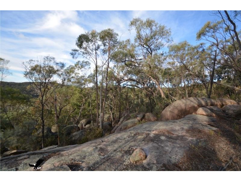 Lot 41 MacLean Lane, Fletcher QLD 4381