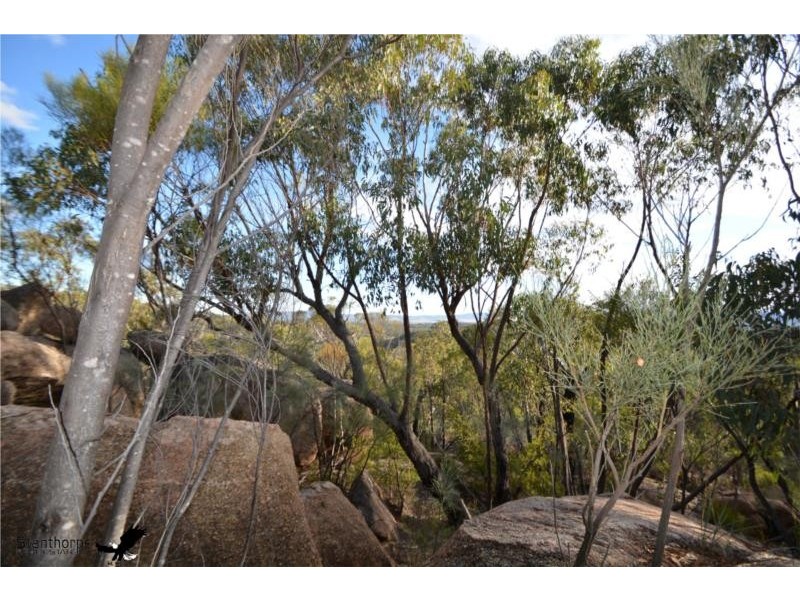 Lot 41 MacLean Lane, Fletcher QLD 4381