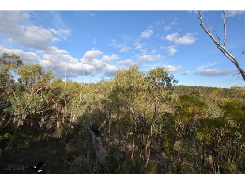 Lot 41 MacLean Lane, Fletcher QLD 4381