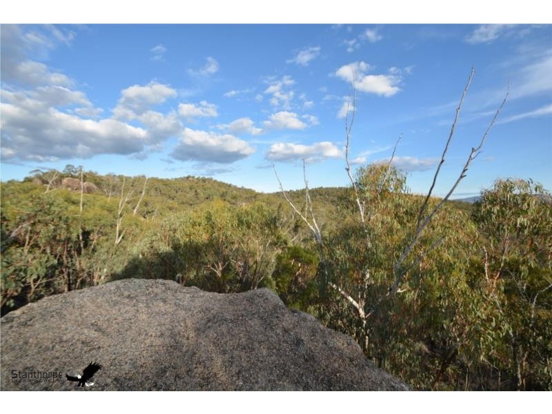 Lot 41 MacLean Lane, Fletcher QLD 4381