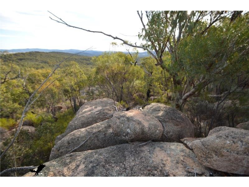 Lot 41 MacLean Lane, Fletcher QLD 4381