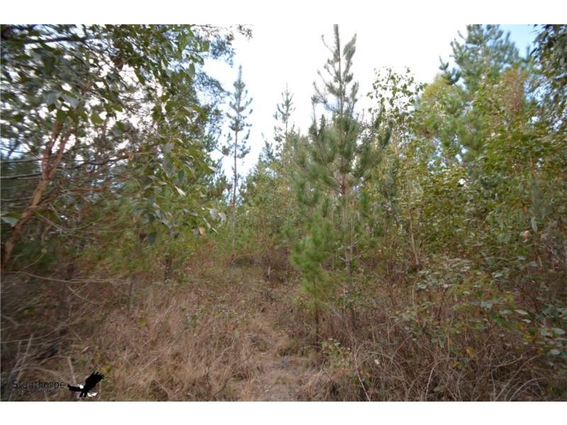 Lot 209 Central Road, Sugarloaf via, Stanthorpe QLD 4380