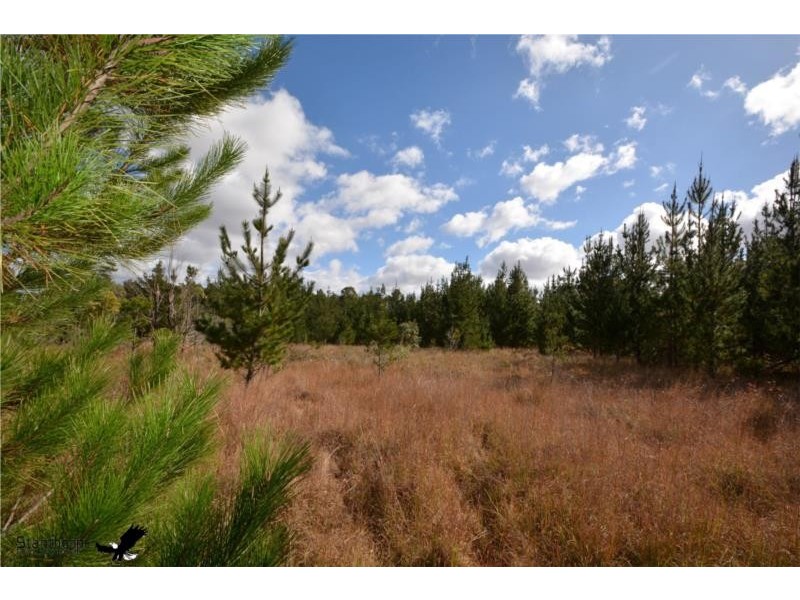 Lot 209 Central Road, Sugarloaf via, Stanthorpe QLD 4380