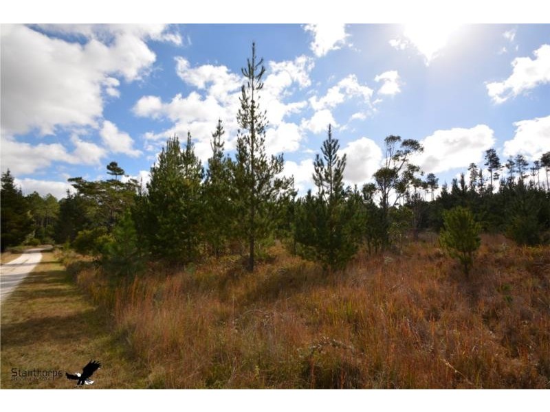 Lot 209 Central Road, Sugarloaf via, Stanthorpe QLD 4380