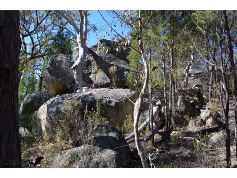 160 Watters Road, Ballandean QLD 4382